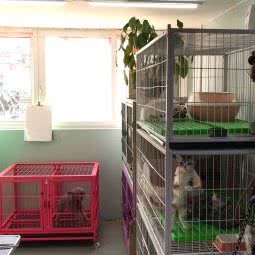 美哒哒爱宠:北京城区朝阳区北京欢乐谷附近