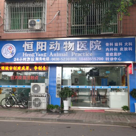 恒阳动物医院:泸州市合江县