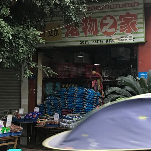 艾尔宠物之家:泸州市叙永县