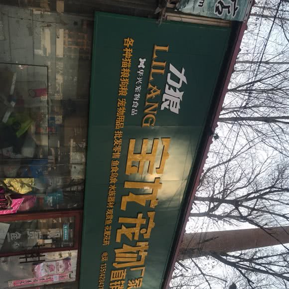 力狼宝龙宠物:沈阳市皇姑区三台子附近