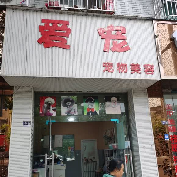 爱宠宠物美容:德阳市中江县