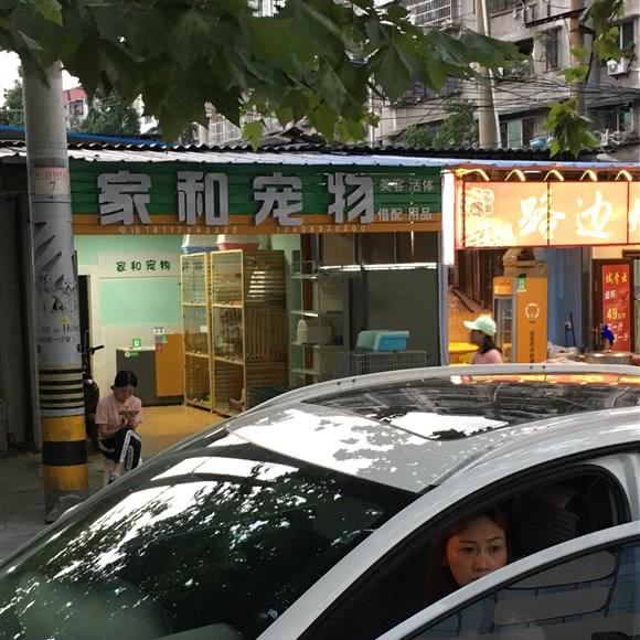 家和宠物:德阳市广汉市