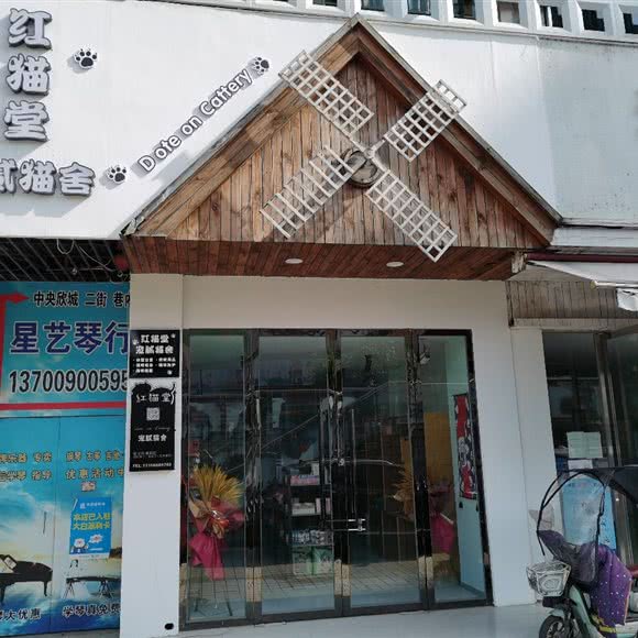 红猫堂-宠腻猫舍:德阳市广汉市