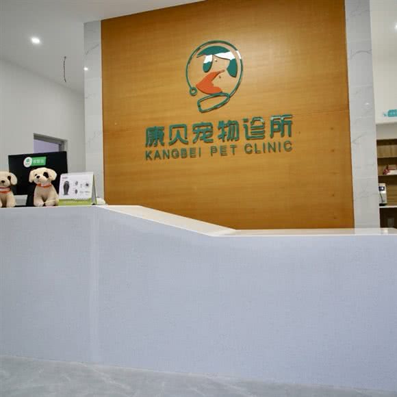 康贝狗狗诊所:德阳市广汉市