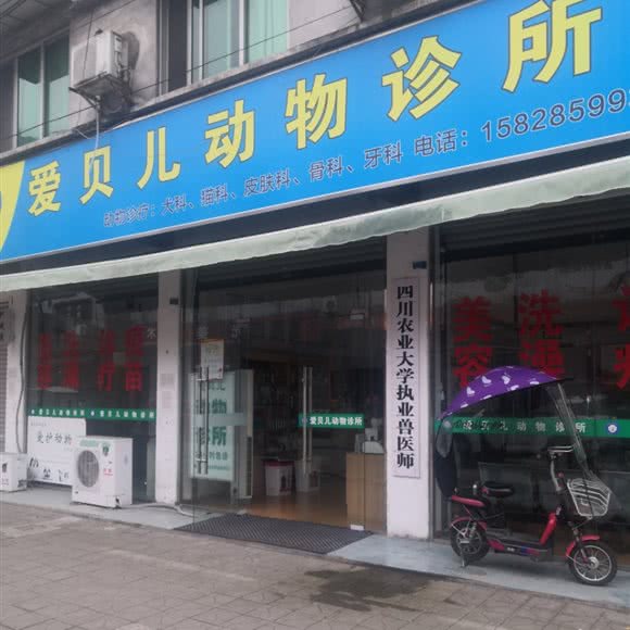 爱贝儿动物诊所:德阳市什邡市