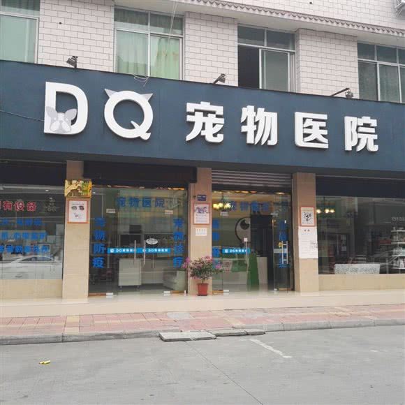 DQ宠物医院:德阳市什邡市