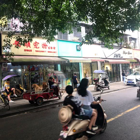 安顺宠物生活馆:德阳市绵竹市