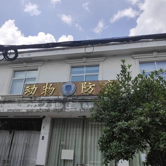 绵竹市什地镇农牧业兽医站:德阳市绵竹市