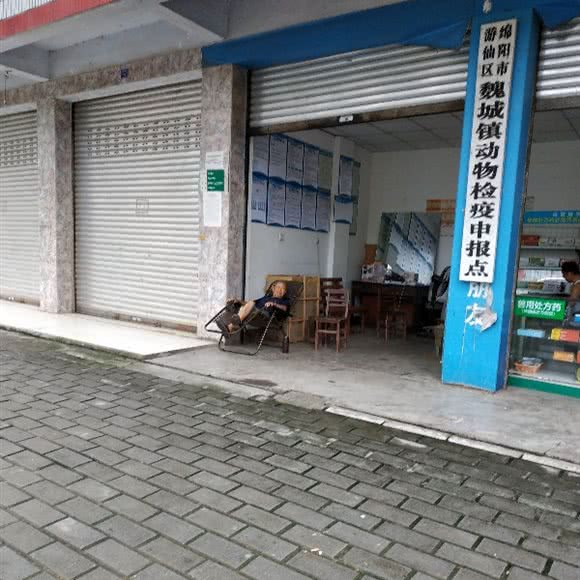 绵阳市游仙区魏城镇畜牧兽医站:绵阳市游仙区