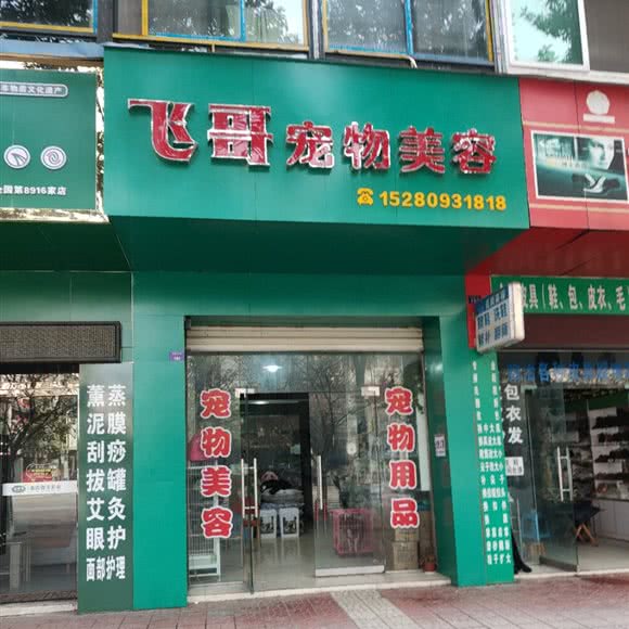 飞哥宠物美容:绵阳市安州区