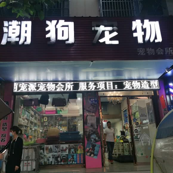 潮狗宠物狗会所:绵阳市三台县