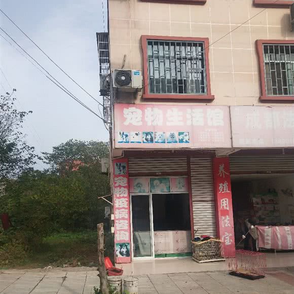 宠物生活馆:绵阳市三台县