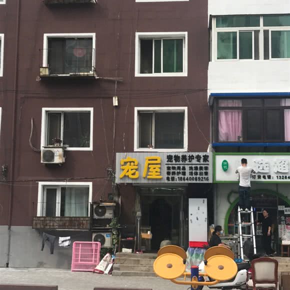 宠屋宠物养护专家:沈阳市皇姑区陵东附近