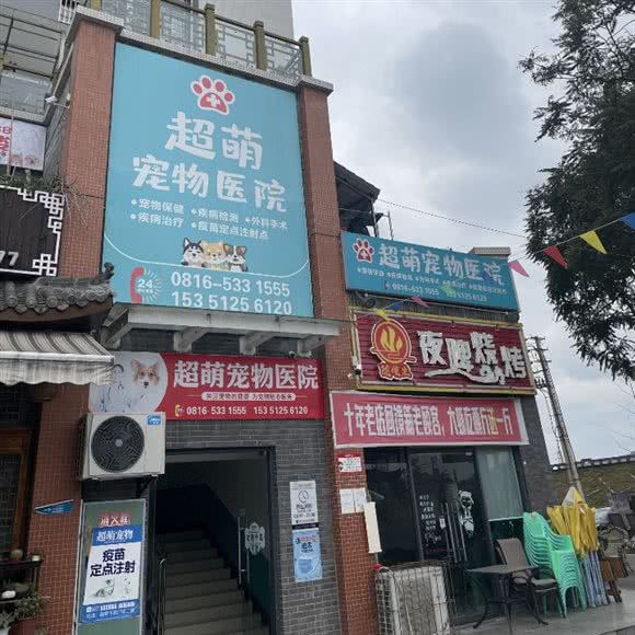 超萌宠物医院:绵阳市三台县