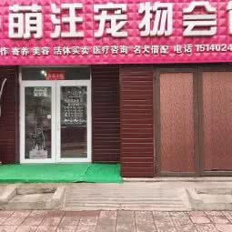 萌许宠物:沈阳市皇姑区陵东附近