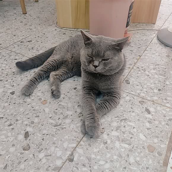 多米喵舍:绵阳市梓潼县