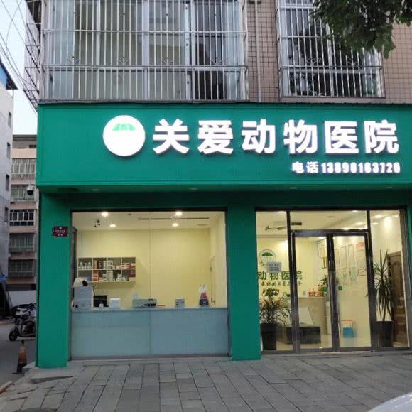 关爱动物医院:绵阳市梓潼县