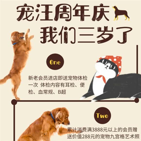 宠汪宠物店:沈阳市皇姑区陵东附近