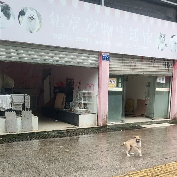 私宠宠物生活馆:绵阳市江油市