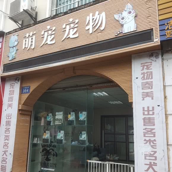萌宠宠物:绵阳市江油市