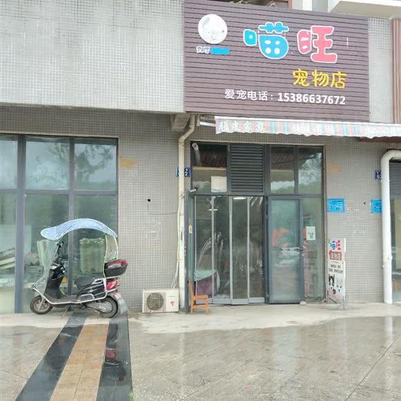 喵旺宠物店:绵阳市江油市