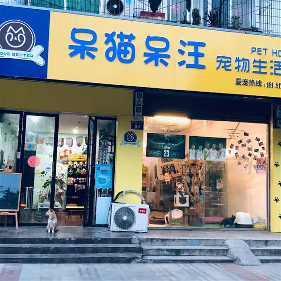 呆猫呆汪宠物生活馆:绵阳市江油市