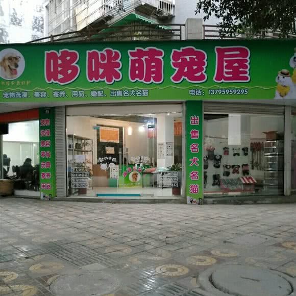 哆咪萌宠屋:绵阳市江油市