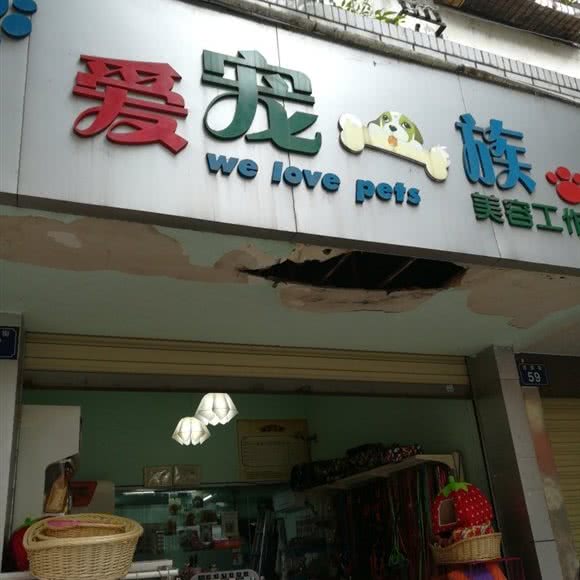 爱宠一族美容工作室:绵阳市江油市