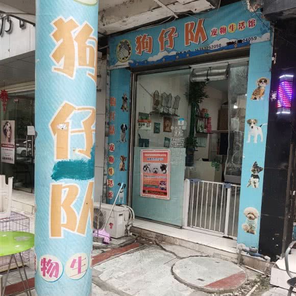 狗仔队宠物生活馆:绵阳市江油市