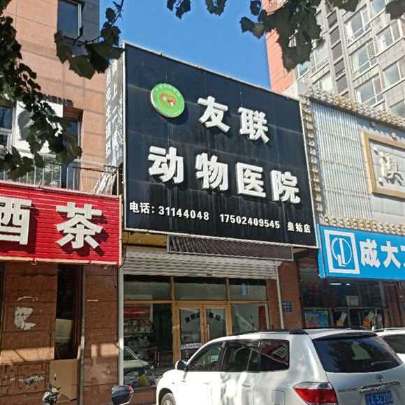 友联动物医院(皇姑店):沈阳市皇姑区陵东附近