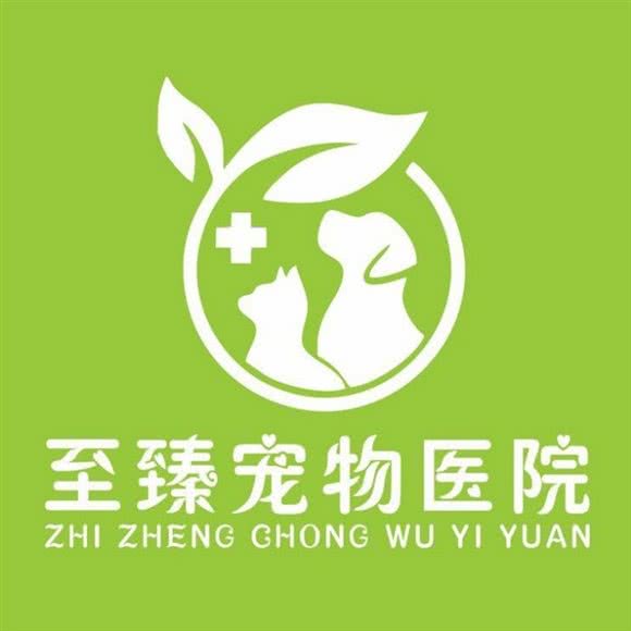 至臻宠物医院:绵阳市江油市