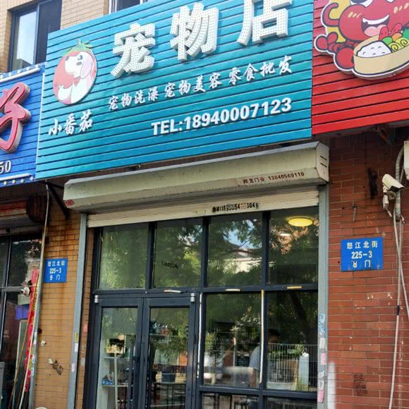 小番茄面包店:沈阳市皇姑区沈阳医学院附近