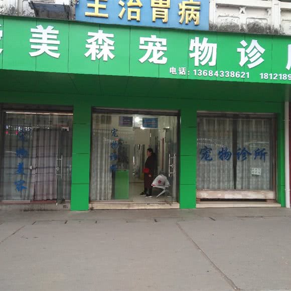 爱美森宠物诊所:广元市利州区