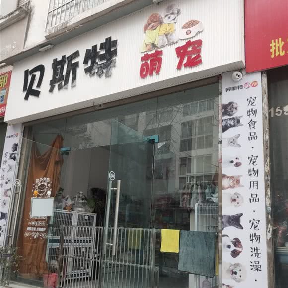 贝斯特萌宠:广元市青川县