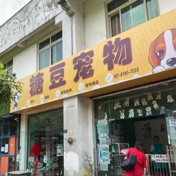 糖豆宠物:广元市剑阁县