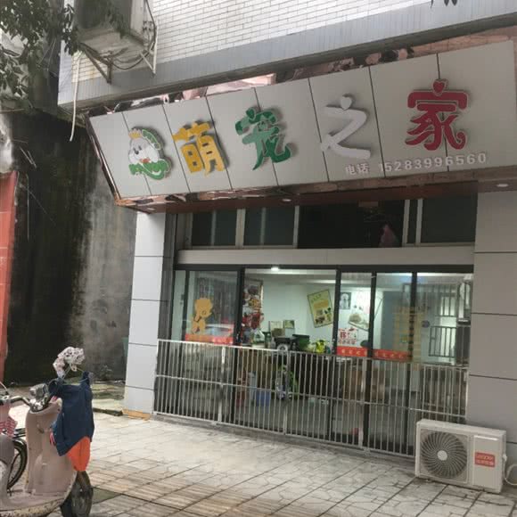萌宠之十家宠物生活馆:广元市苍溪县