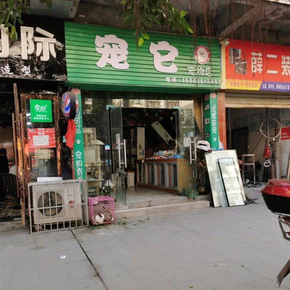 宠它宠物店:遂宁市蓬溪县