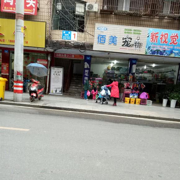 佰美宠物:遂宁市蓬溪县