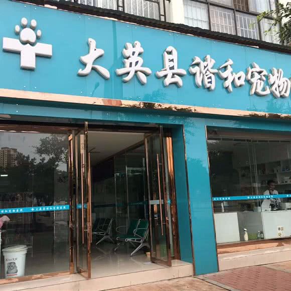 谐和宠物医院(大英店):遂宁市大英县