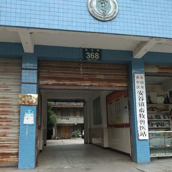 乐山市市中区安谷镇畜牧兽医站:乐山市市中区