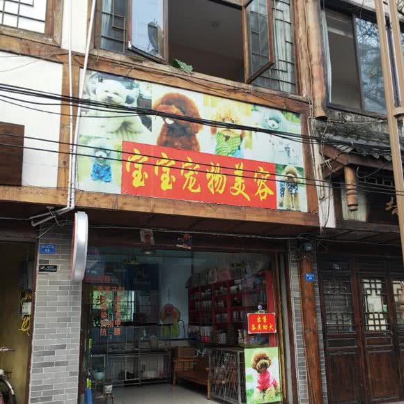 宝宝宠物美容:乐山市五通桥区