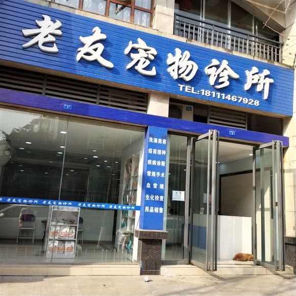 老友宠物狗诊所:乐山市犍为县