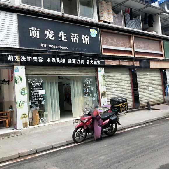 萌宠生活馆:乐山市沐川县