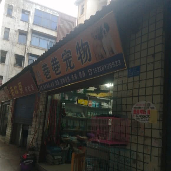 巷巷宠物:南充市高坪区