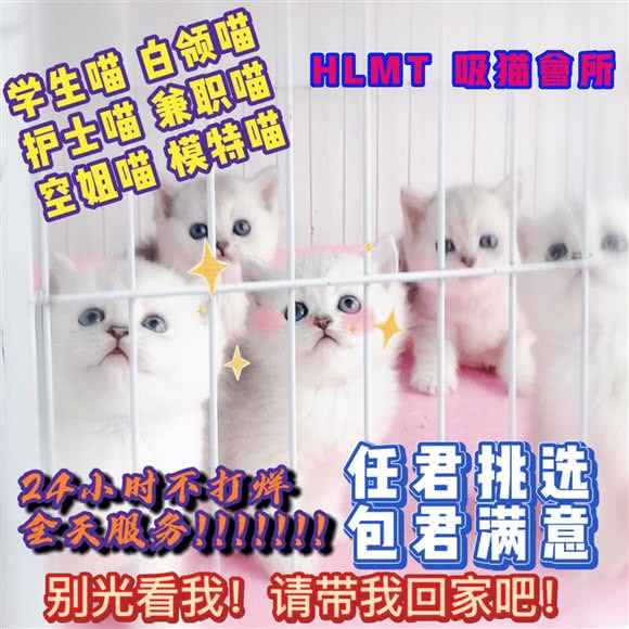 宠爱一生面包店:南充市高坪区