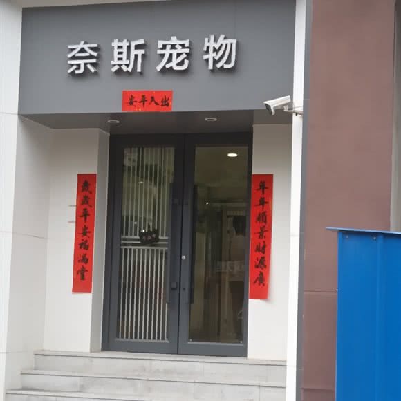 奈斯宠物狗:沈阳市皇姑区龙江广场附近