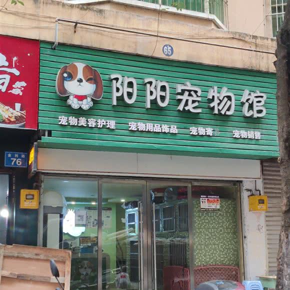 阳阳宠物店:南充市南部县