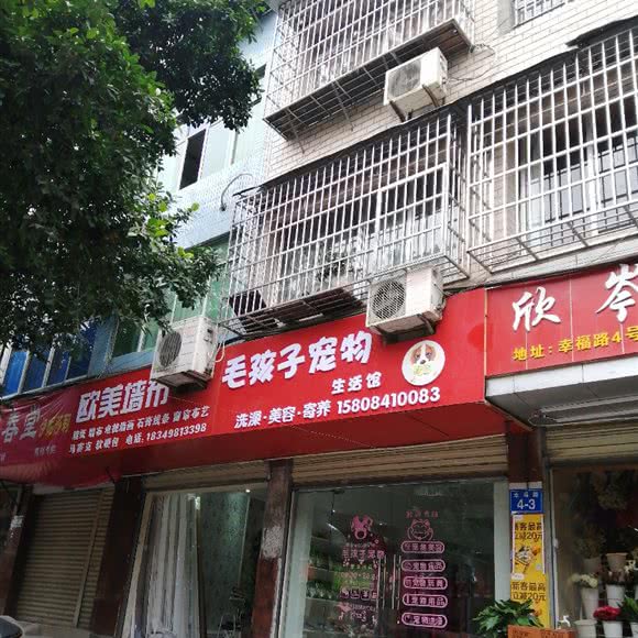 毛孩子狗狗生活馆:南充市南部县