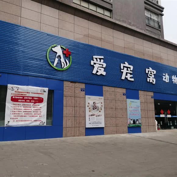 爱宠窝动物诊所(复兴店):南充市营山县