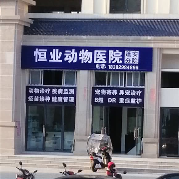 恒业动物医院:南充市蓬安县